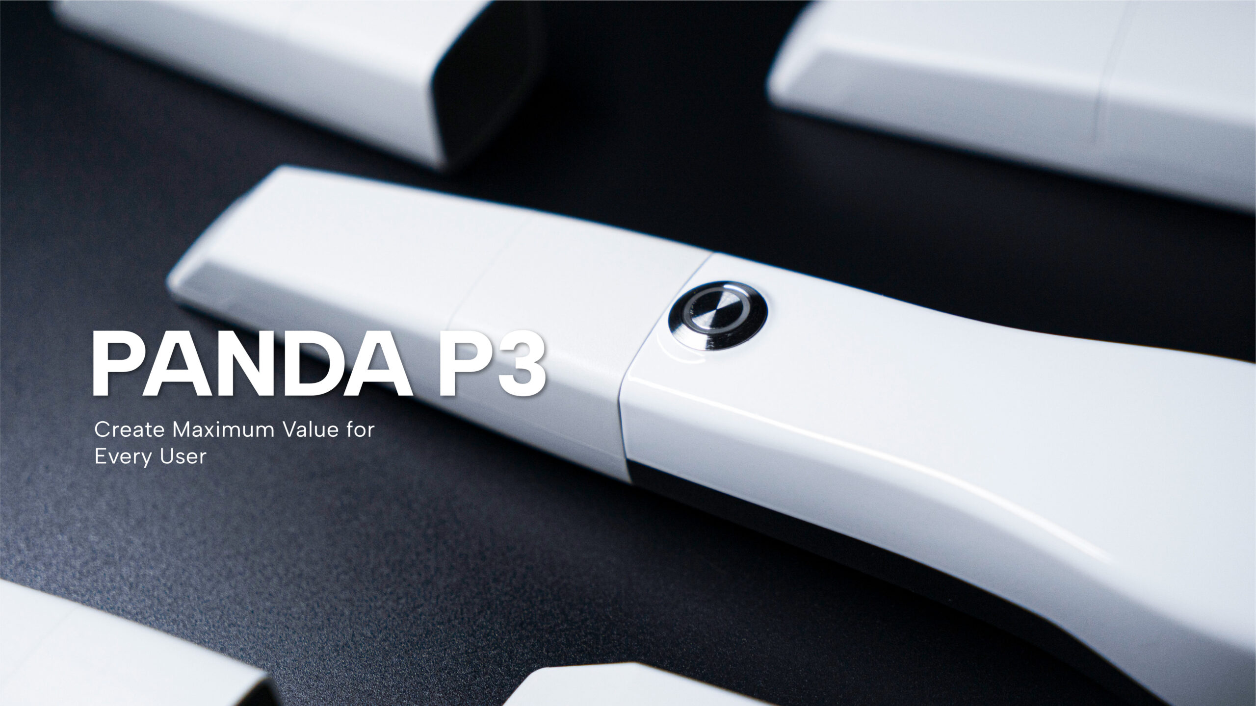 Panda P3